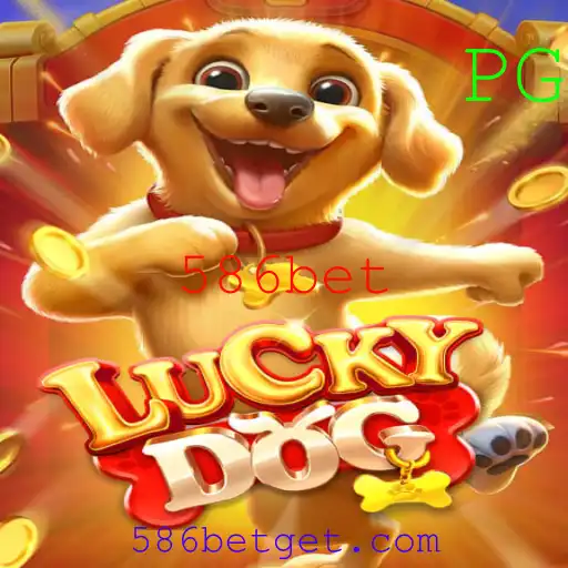 Descubra o Empolgante Mundo de LuckyDog com 586bet
